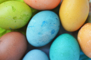 Celebrate Spring With These Local 2016 Easter Events For The Whole Family