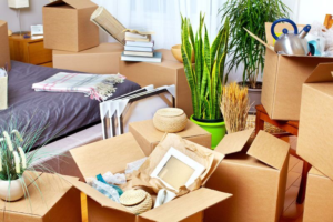Can You Stay on Your Parents’ Insurance When You Move Out?
