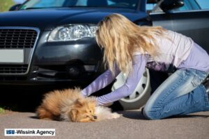 Auto Insurance: Does It Cover Animal Damage?